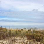 Beach Fence