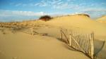 Provincetown Dunes